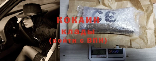 бошки Бронницы