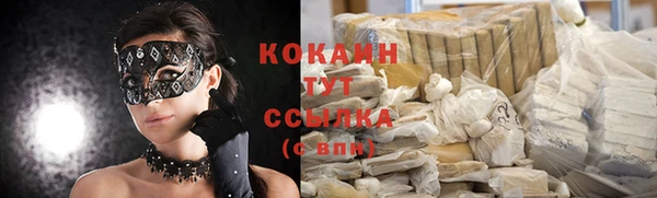 бошки Бронницы