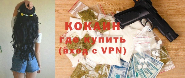 бошки Бронницы