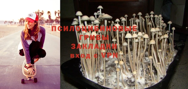 mdma Бородино