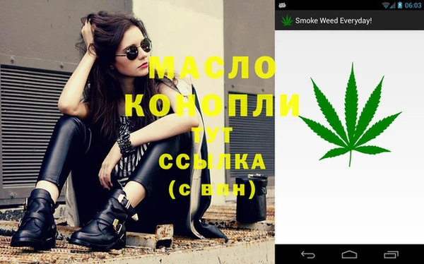 бошки Бронницы