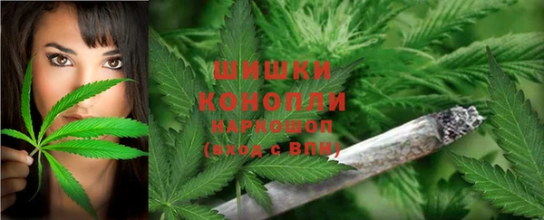 mdma Бородино